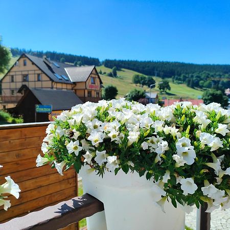 Ski&Spa Zieleniec Duszniki Zdrój Extérieur photo