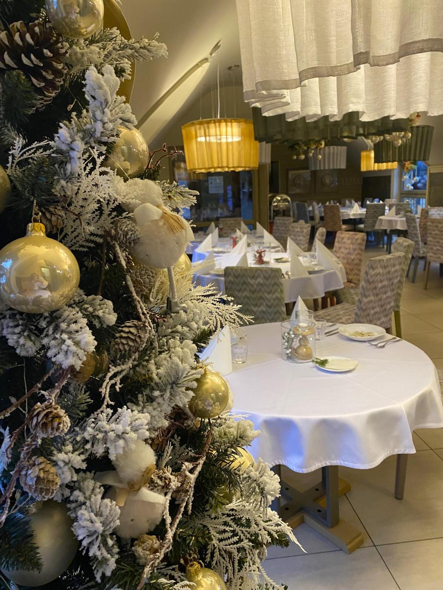 Ski&Spa Zieleniec Duszniki Zdrój Extérieur photo