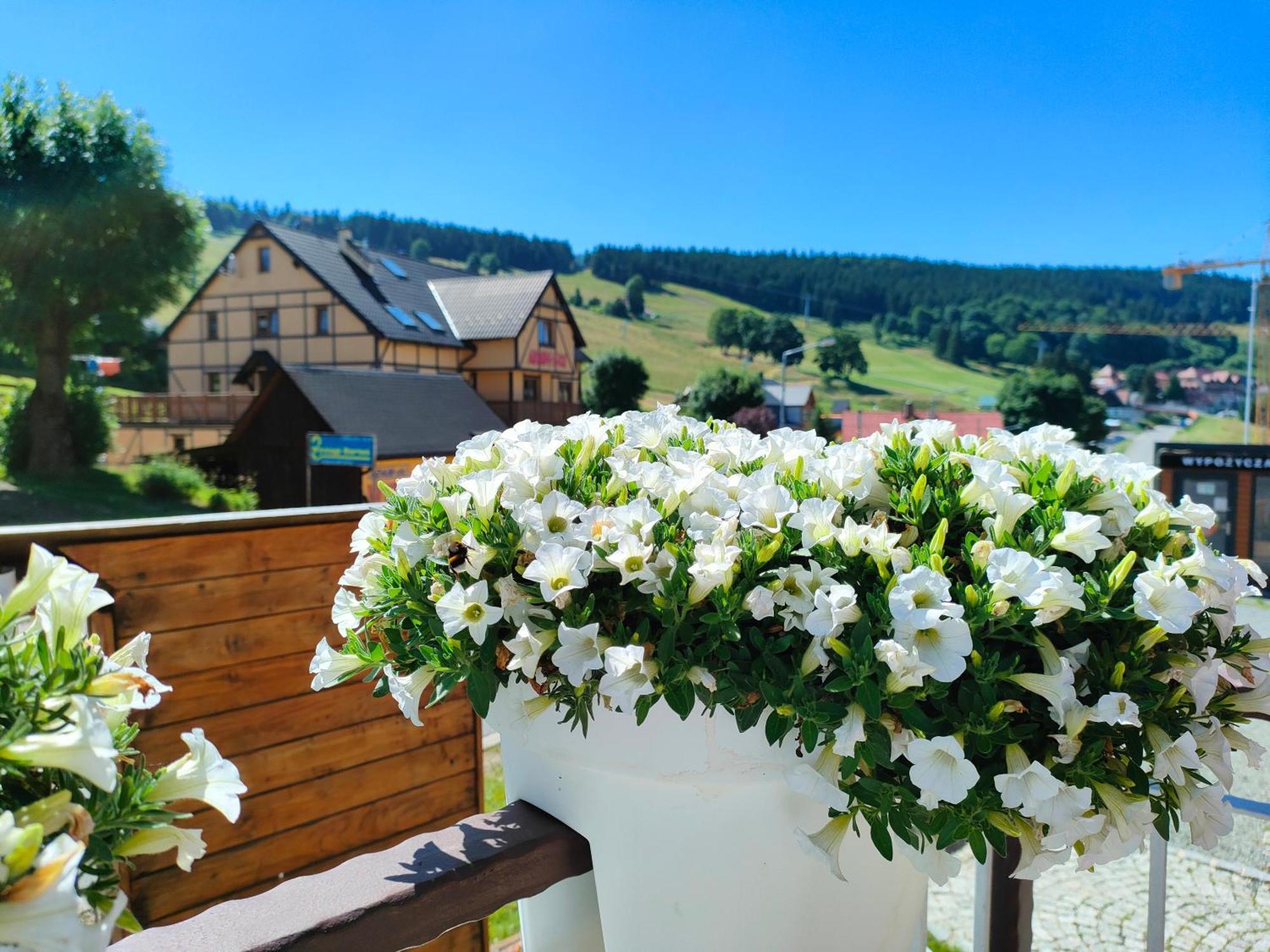 Ski&Spa Zieleniec Duszniki Zdrój Extérieur photo